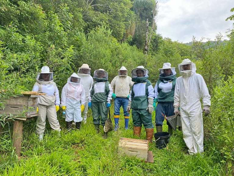 Curso de apicultura ensina o manejo correto de enxames no Cemeam de Sapiranga