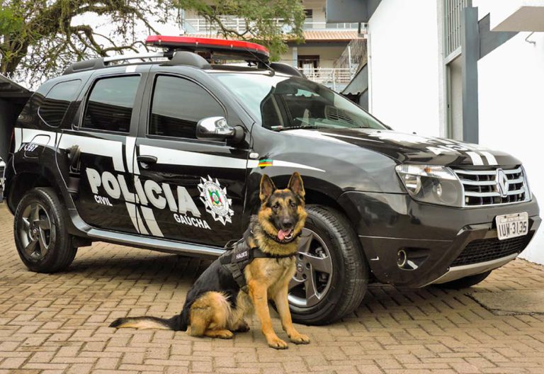 Sapiranga será sede do Torneio de Cães de Polícia Civil neste final de semana